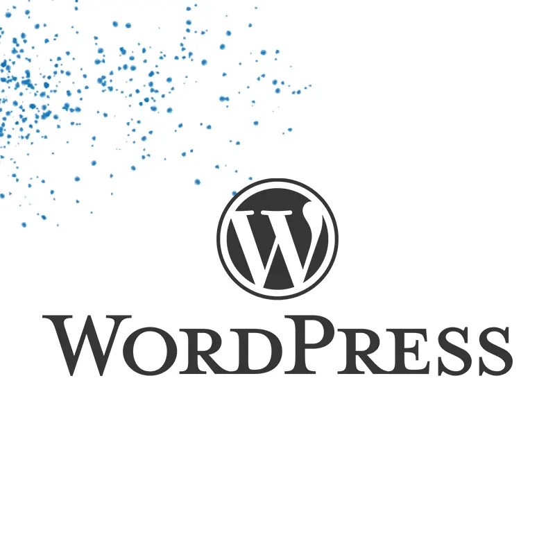 Manutenção de site WordPress